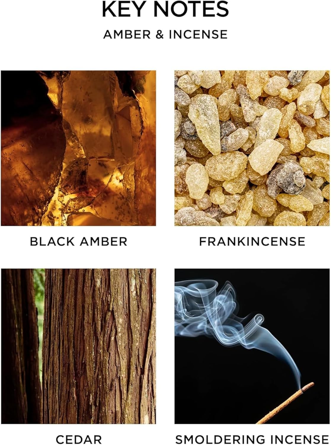 NEST New York Scented Classic Candle, Amber & Incense - 8.1 oz - Up to 60-Hour Burn Time - Reusable Glass Vessel