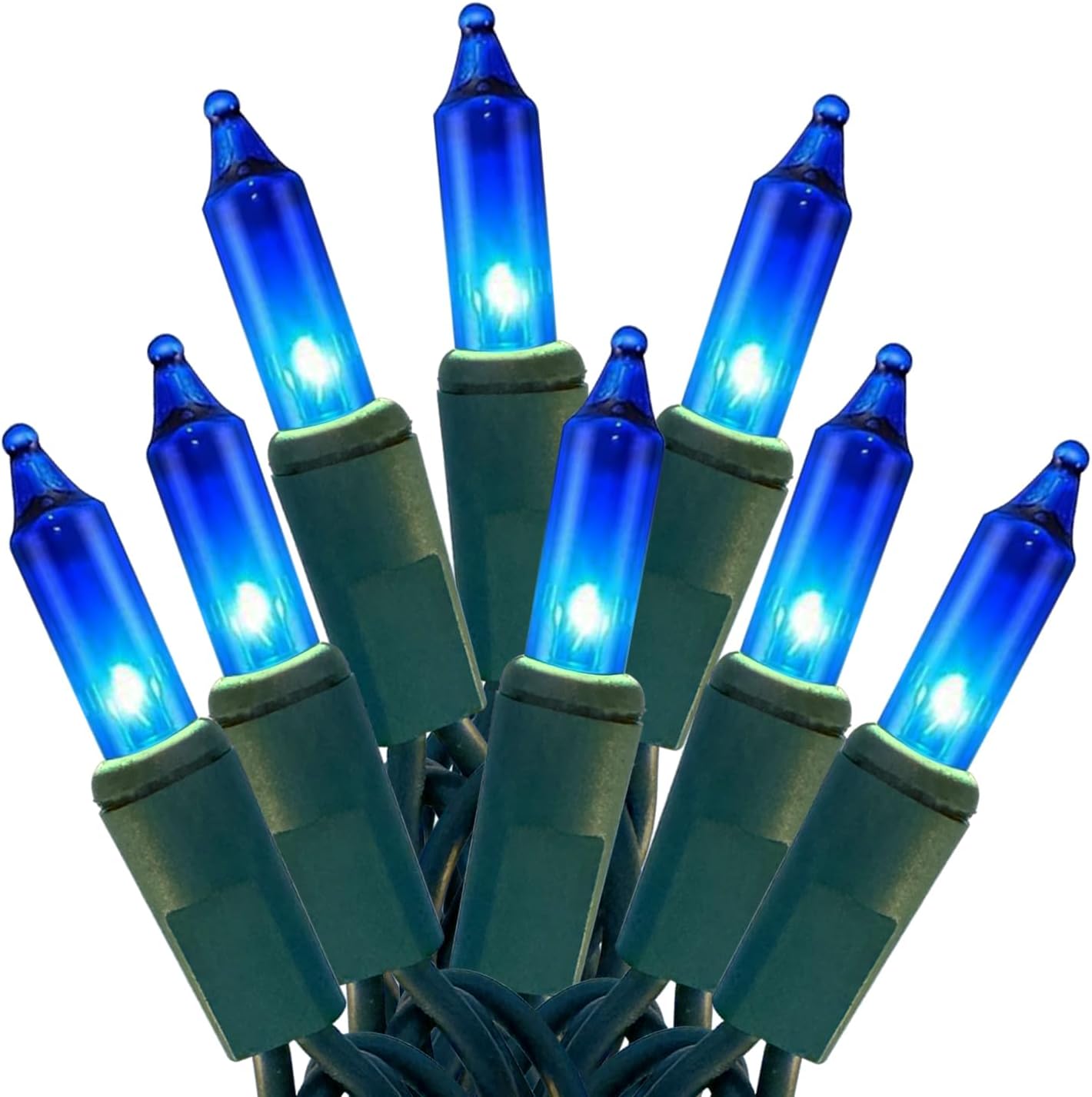 HISHINY Christmas Lights 100 Count Blue Christmas Tree String Lights with Green Wire for Outdoor Indoor Christmas Decorations Wedding Decorations Valentines Day Decor,UL Certified (21feet)