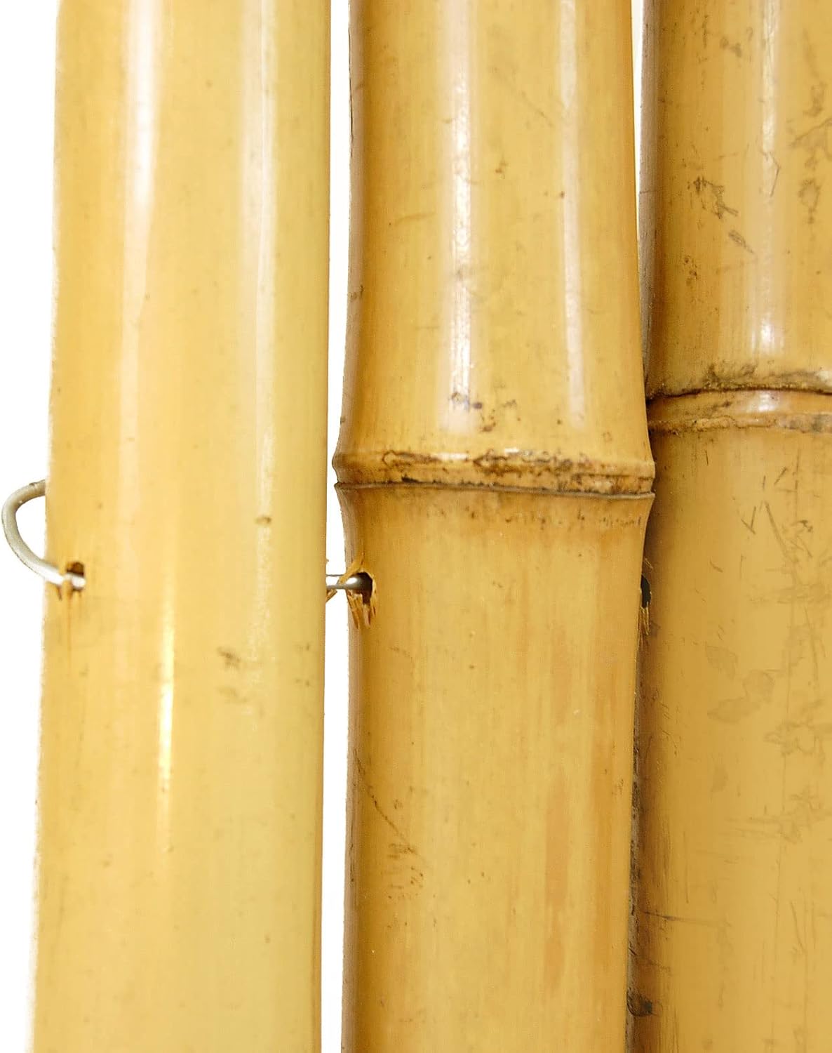 Backyard X-Scapes Natural Bamboo Fencing Decorative Rolled Fence Panel 0.75 in D x 3 ft H x 8 ft L