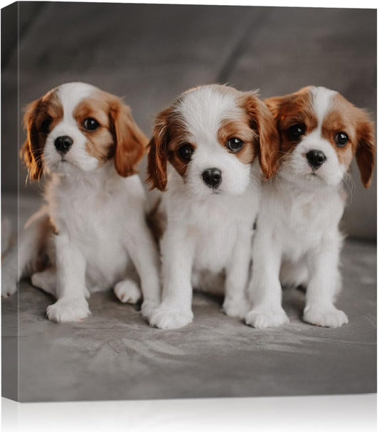 AbcCustomize Custom Canvas Prints,Transform Your Memories into Beautiful Art with Personalized Photo on Canvas,Personalized Canvas Wall Art for Home Decor, Gifts, and Keepsakes