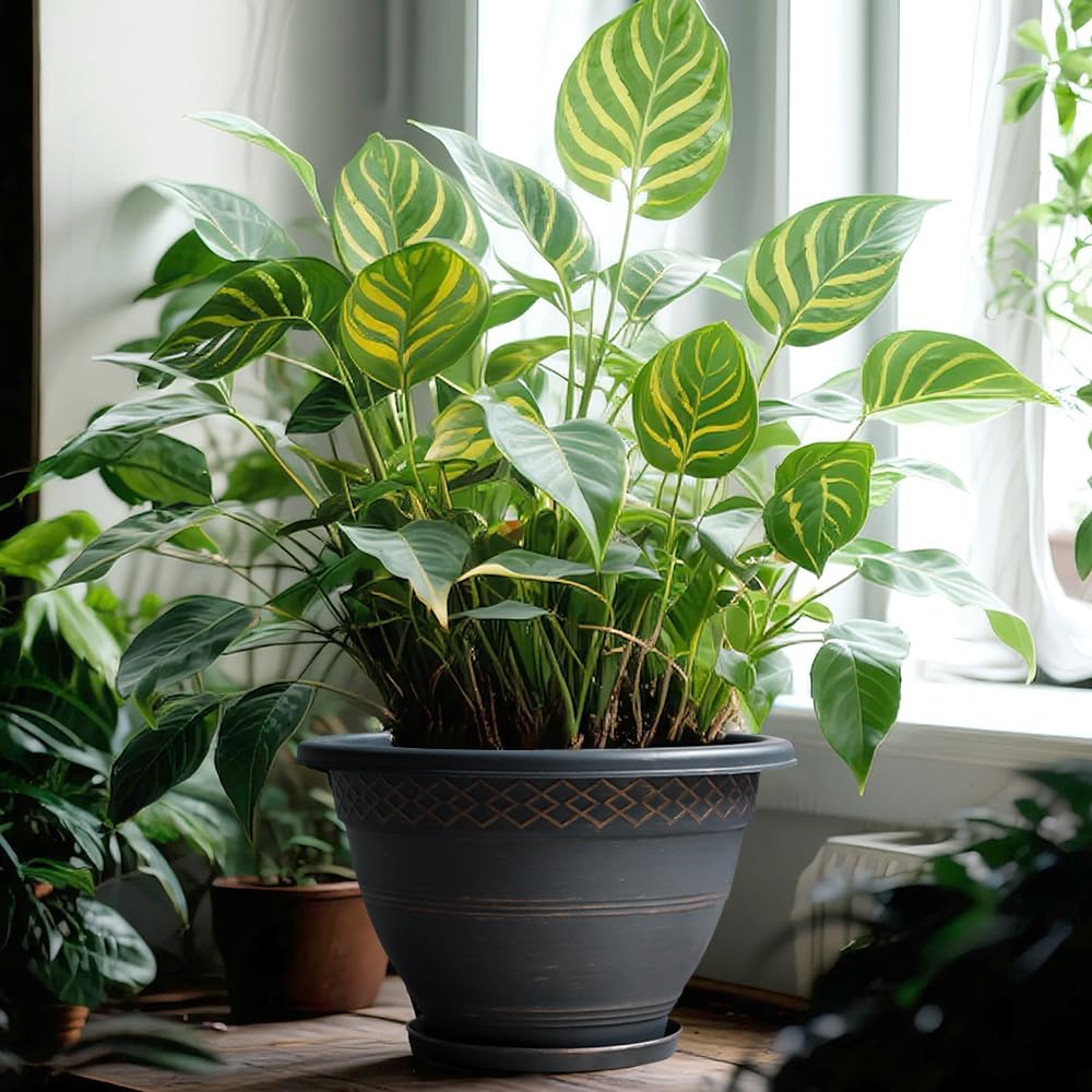 4 Pack 16 Inch Large Plant Pots, Plastic Flower Pot for Indoor & Outdoor with Drainage Holes & Saucer, Plaid Pattern Planters Garden Pots for Herbs