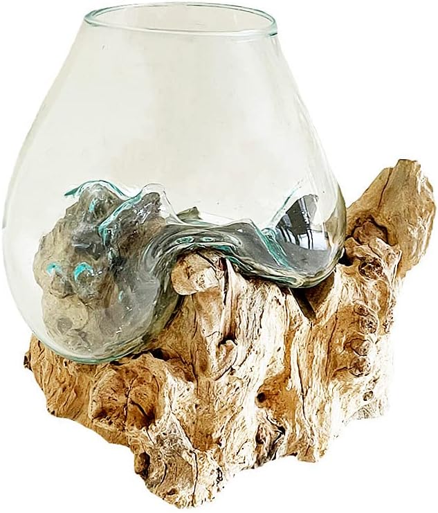Hand Blown Molten Glass & Teak Wood Terrarium/Vase/Fish Bowl - Premium Quality (12" - 14" High)