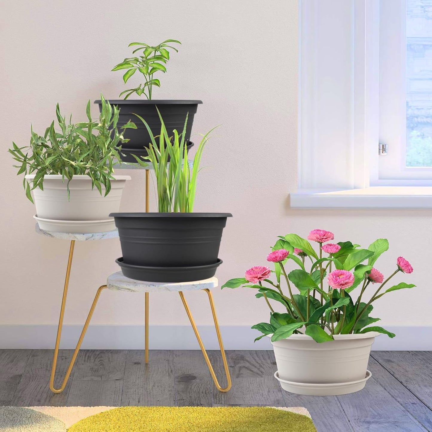 6 Pack 10 inch Plant Pot, Round Plastic Plant Pots, Outdoor Pots for Plants with Drainage Hole & Tray Saucer, Decoration Flower Pots for Indoor Plants Home Garden Outdoor Planters (Grey)