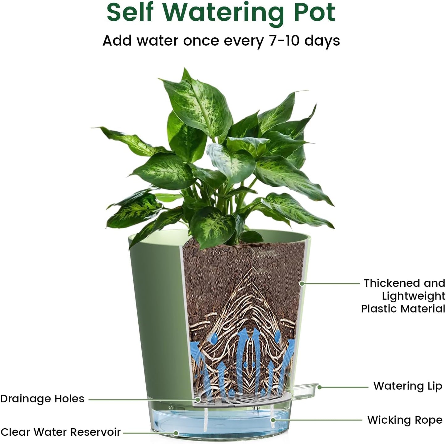 4 inch Self Watering Pots for Indoor Plants, 5 Pack Small Flower Plant Pots with Drainage Holes and Clear Reservoirs, Visible Water Level, Plastic Planters with Wicking Rope, Green