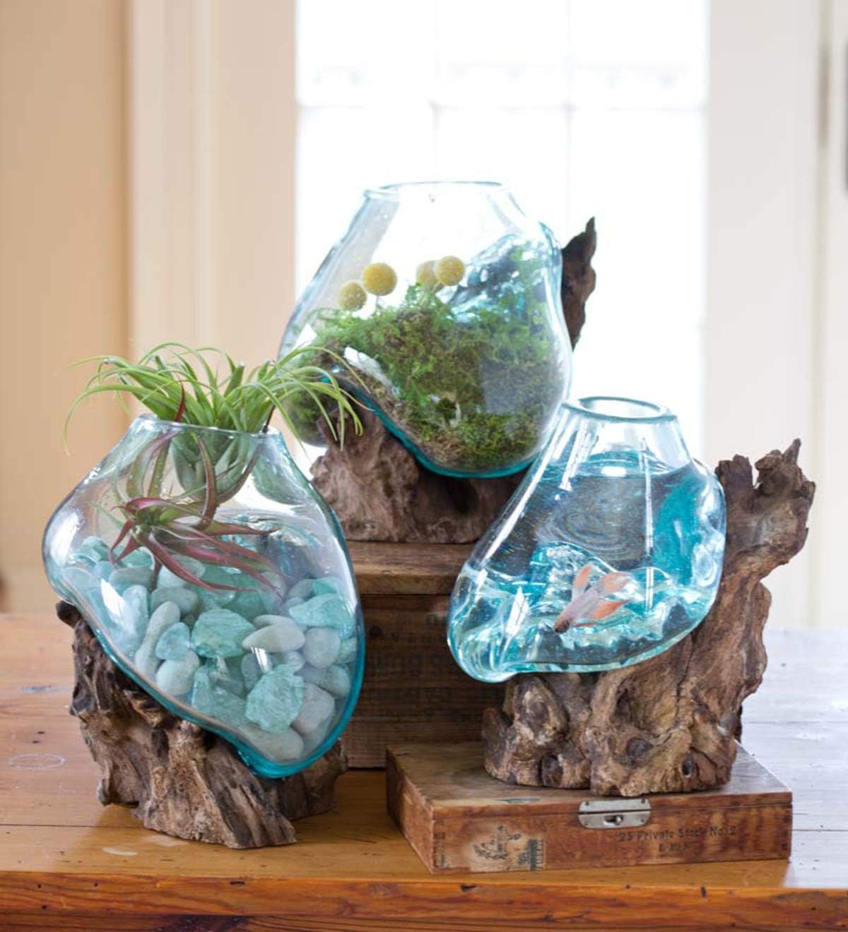 Hand Blown Molten Glass & Teak Wood Terrarium/Vase/Fish Bowl - Premium Quality (12" - 14" High)