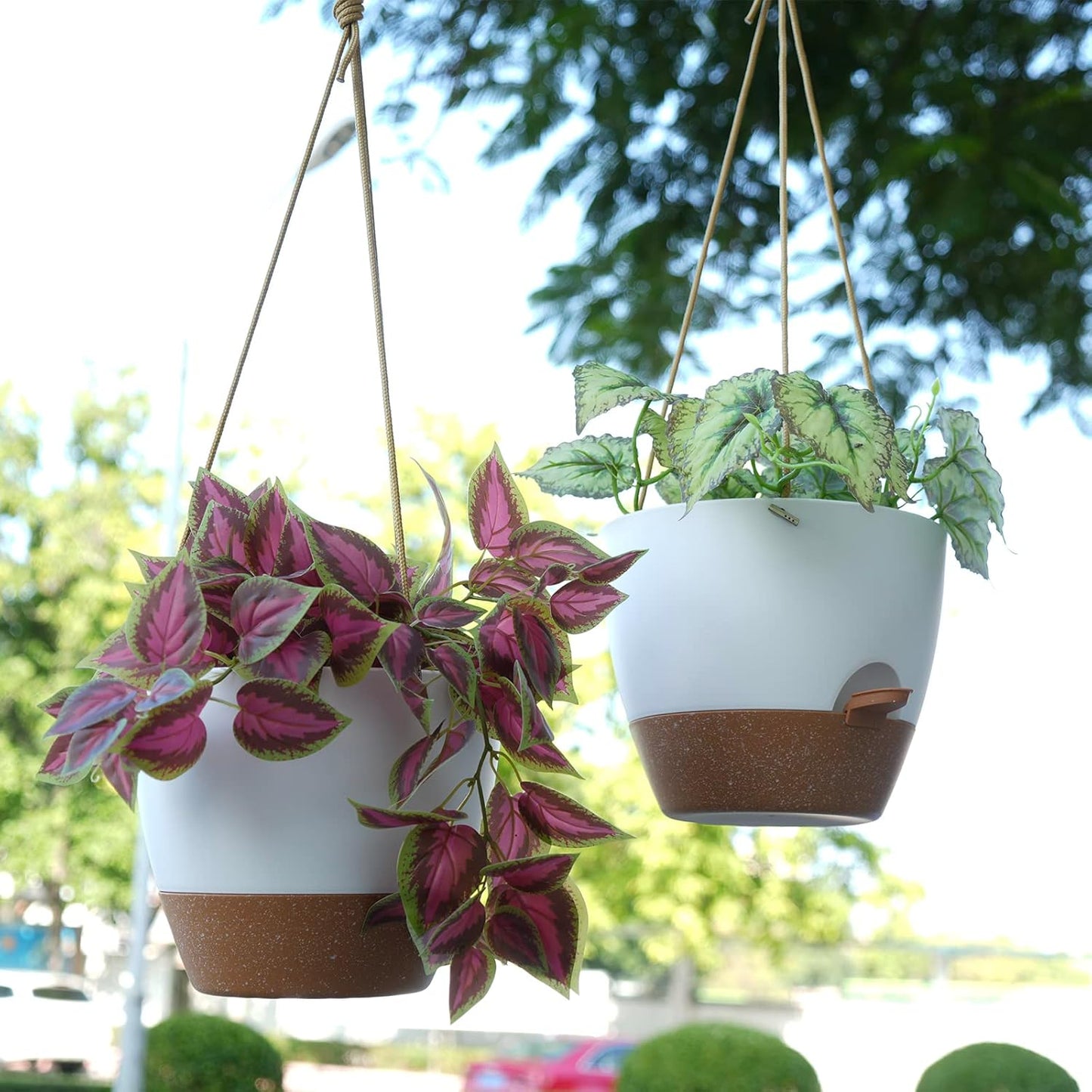 8 inch Hanging Planters, 2 Pack Self Watering Hanging Pots with 20oZ Deep Reservoir for Indoor Outdoor Plants Flowers, White with Brown