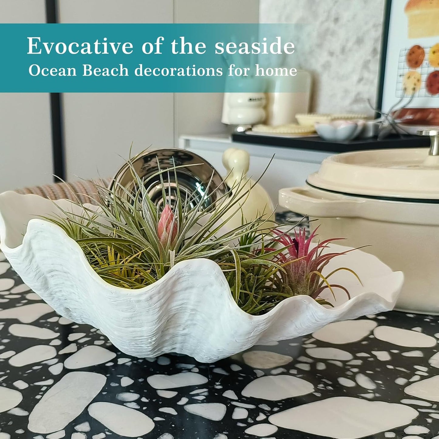 Accessoryway Large White Sea Shells Decorative Bowl Resin Clam Shell Bowl Beach Decorations for Home Coastal Beach Decor Decoration Storage Bowls & Home Office Nautical Themed Party Decor -10.2"-1PC