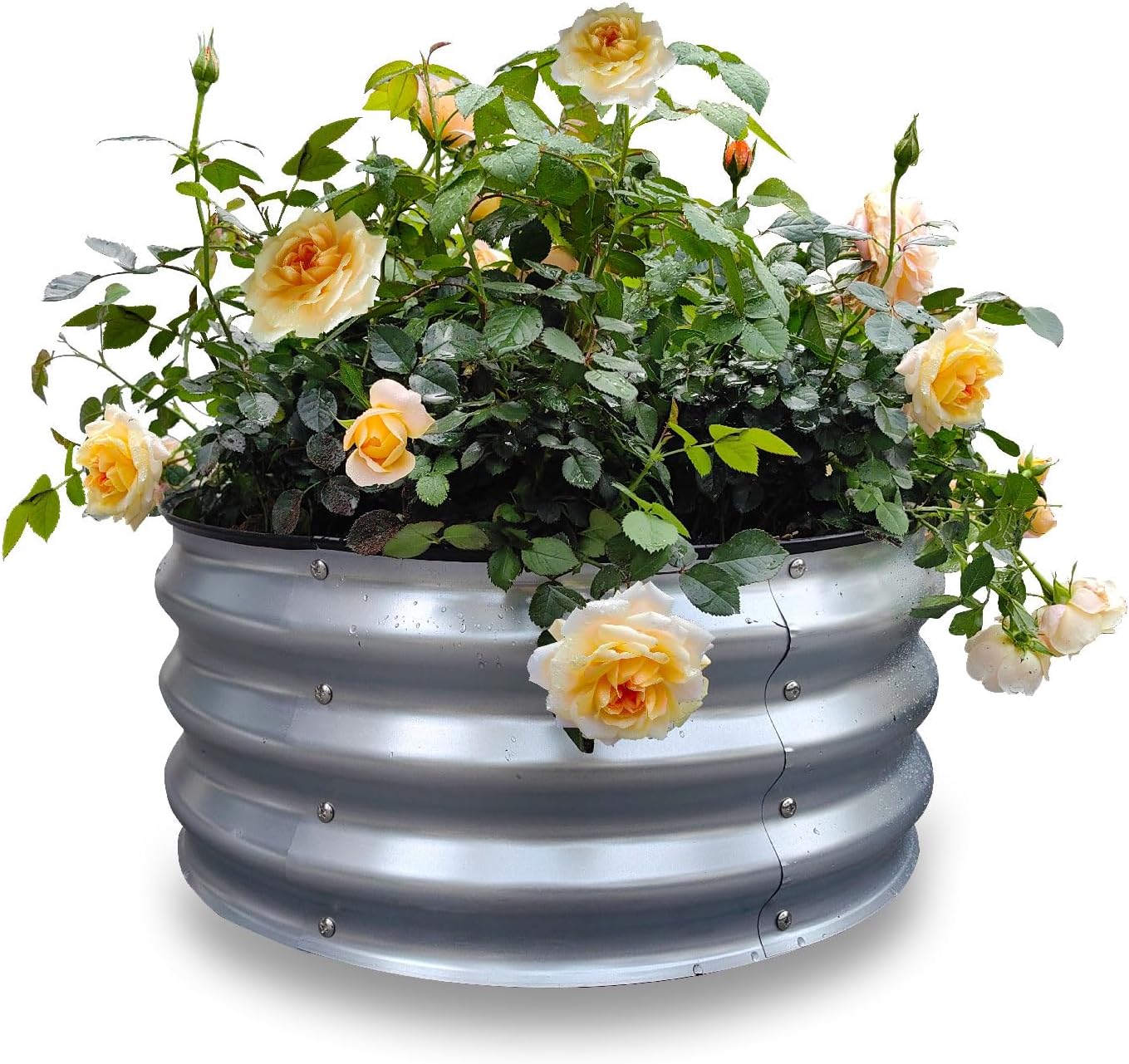 GARDMAX 2x2x1FT Galvanized Round Raised Garden Bed Kit, Metal Planter Boxes Outdoor with Easy Assembly, Large Garden Bed for Vegetables, Fruits, Flower, Herbs Silver