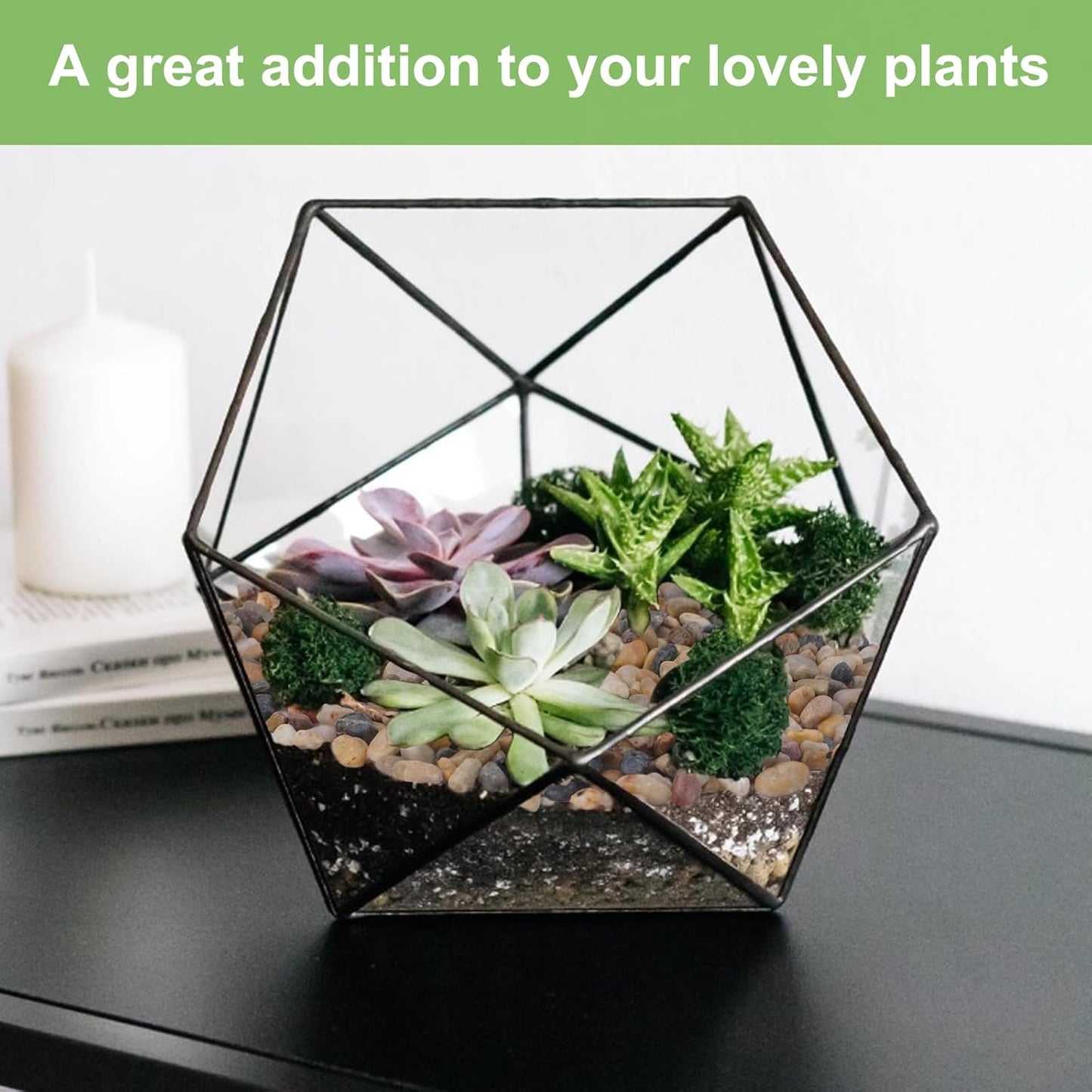 2.5 lbs Drainage Rocks for Potted Plants, 1/5 Inch Small Pebbles for Indoor Plants, Decorative Gravel for Vases, Bamboo, Succulent, Terrarium, Crafts, Cactus