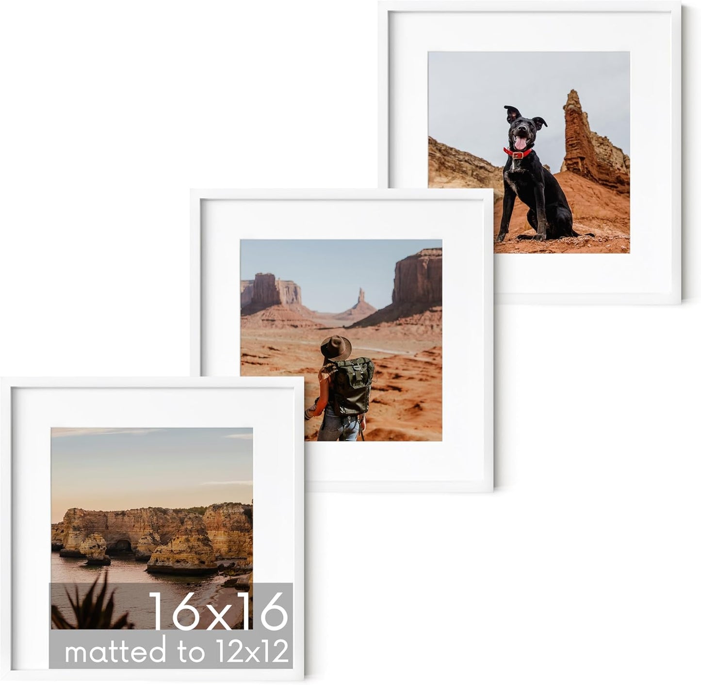 HAUS AND HUES 16x16 White Metal Picture Frames Matted to 12x12 - Features Premium Aluminum & Hanging Hardware, Shatterproof Plexiglass - Ideal for Home, Room, Office (16x16 in, White, Set of 3)