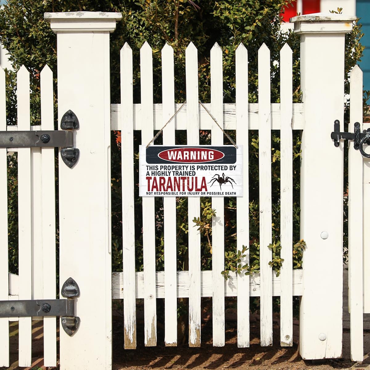 Warning Sign, Tarantula Warning Wood Plaque Sign, Funny Door Signs, Decorative Wood Hanging Suspension Plaque, Farmhouse Wooden Wall Decor, Outdoor Hanging Wooden Signs