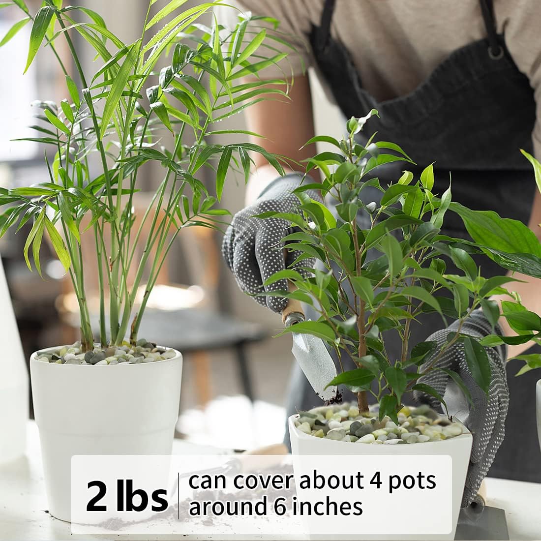 2LB Succulent and Cactus Pebbles, 1/5 Inch Jade Natural Decorative Polished Stones, River Rocks for for Indoor Plants, Vases, Planters and Outdoor Gardening