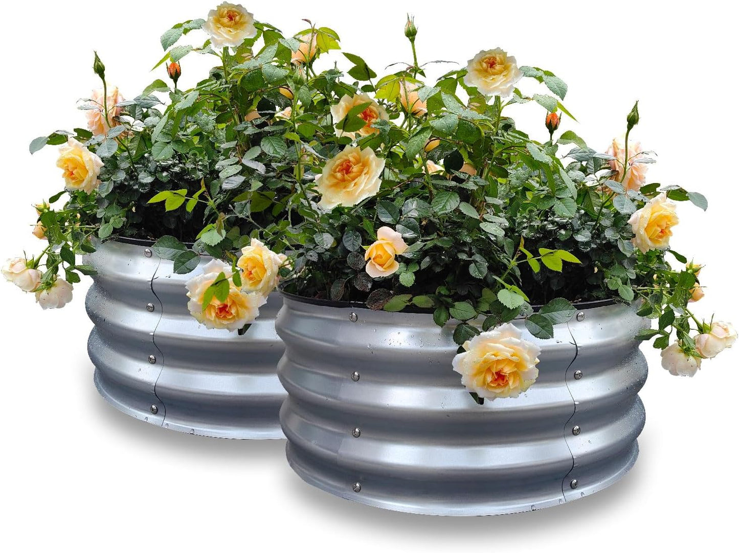 GARDMAX 2 Pack 2x2x1FT Galvanized Round Raised Garden Bed Kit, Metal Planter Boxes Outdoor with Easy Assembly, Large Garden Bed for Vegetables, Fruits, Flower, Herbs Silver