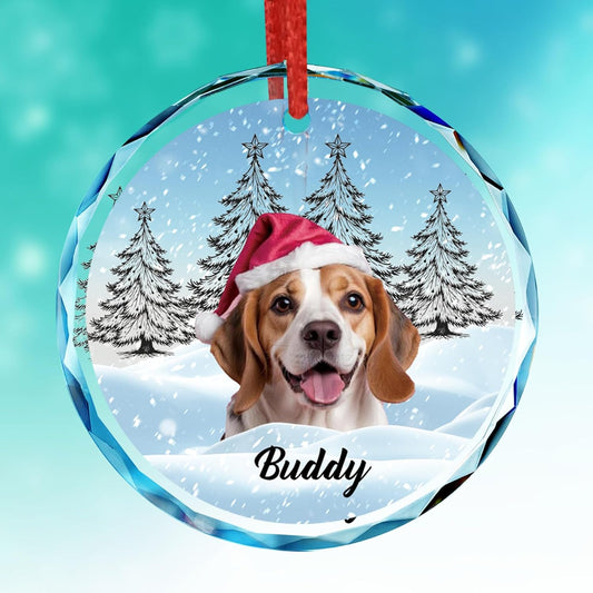 Personalized Photo Crystal Ornament, 2025 Custom Pet Engraved Christmas Keepsake, Memorial Gift for Dog, Cat