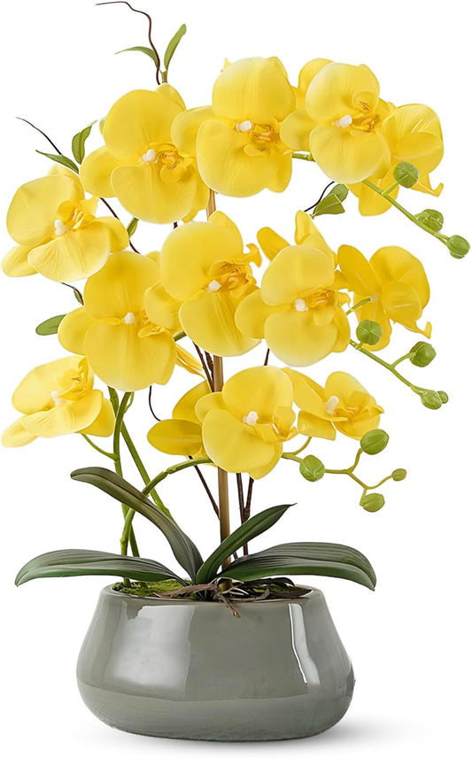 Orchid Artificial Flowers with Gray Vase Large Silk Faux Phalaenopsis Flowers for Dining Room Table Floral Centerpieces Indoor Decoration,Yellow