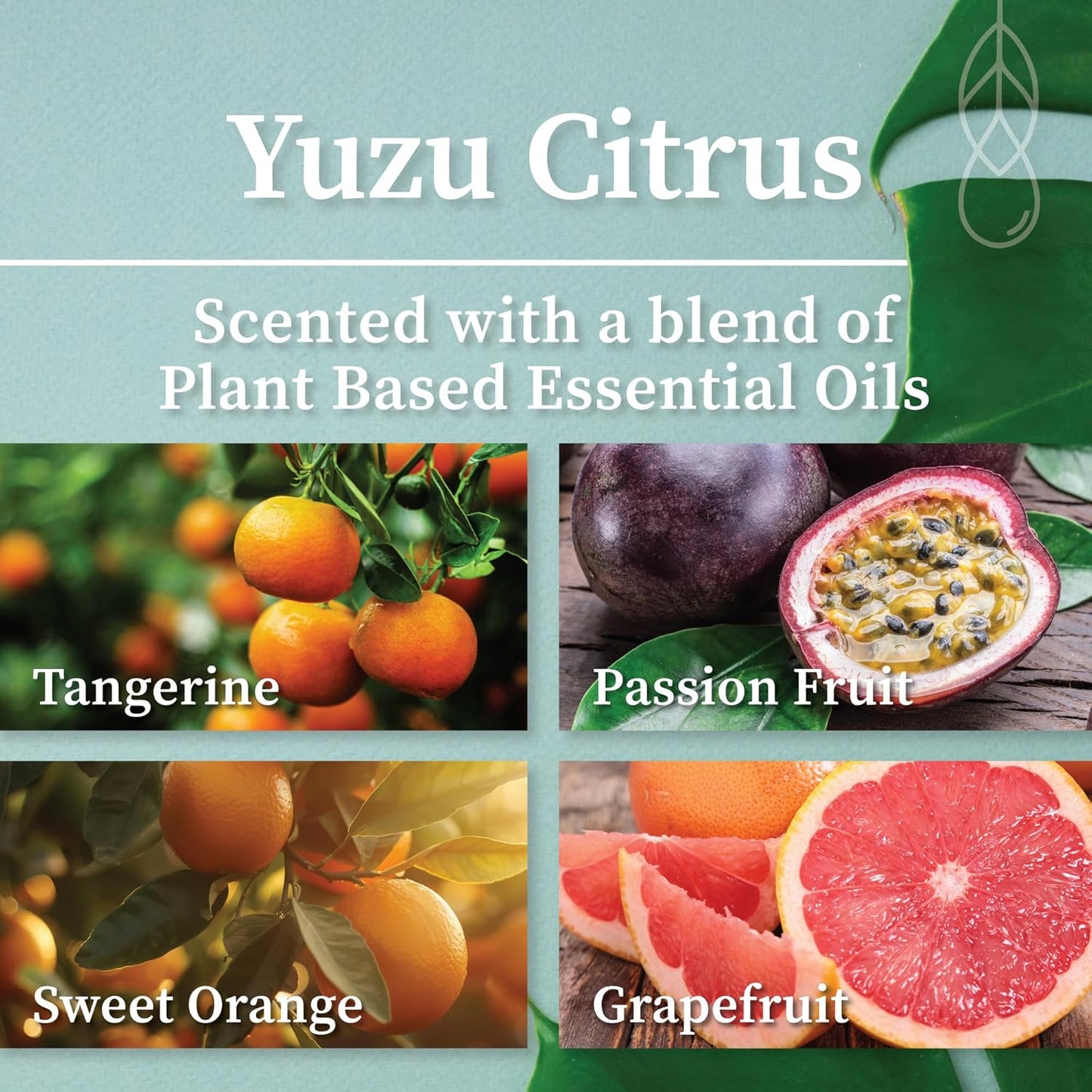 Hemlock Park Wood Wick Candle Handcrafted with Natural Coconut Wax and Essential Oils (Amber & Gold 7.2 oz, Yuzu Citrus)