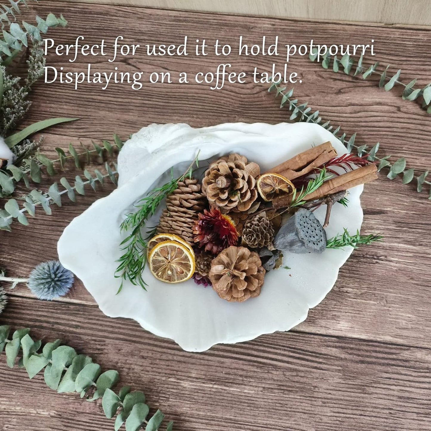 Accessoryway Large White Sea Shells Decorative Bowl Resin Clam Shell Bowl Beach Decorations for Home Coastal Beach Decor Decoration Storage Bowls & Home Office Nautical Themed Party Decor -10.2"-1PC