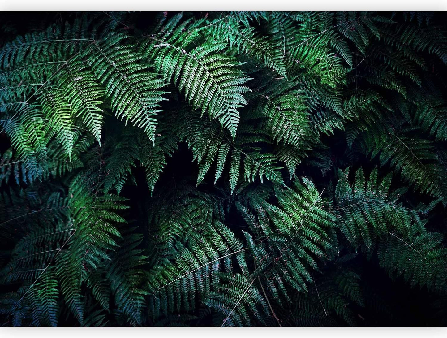 artgeist Premium Wall Mural 3D Effect 118x83 in - XXL Non-Woven Wallpaper Fleece Wall Decor Photo Print Picture Image Design Home Tropical Leaves b-C-0564-a-a