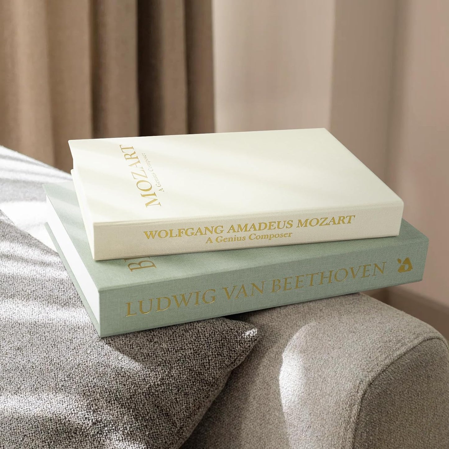 Aesthetic Decorative Books -Set of 2 Minimalist Linen Hardcover Faux/Fake Books for Coffee Table Home Decor Living Room Decoration, Photo Storage or as a Keepsake Box(Sage-beige-musician)