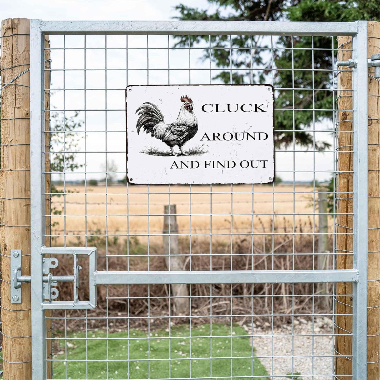 Funny Chicken Coop Sign "Cluck Around & Find Out" Vintage Metal Tin Sign 8x12 Inch - for Farmhouse Kitchen Decor,Chicken Coop Accessories,Barn,Rustic Home & Garden Wall Art with Hanging Holes