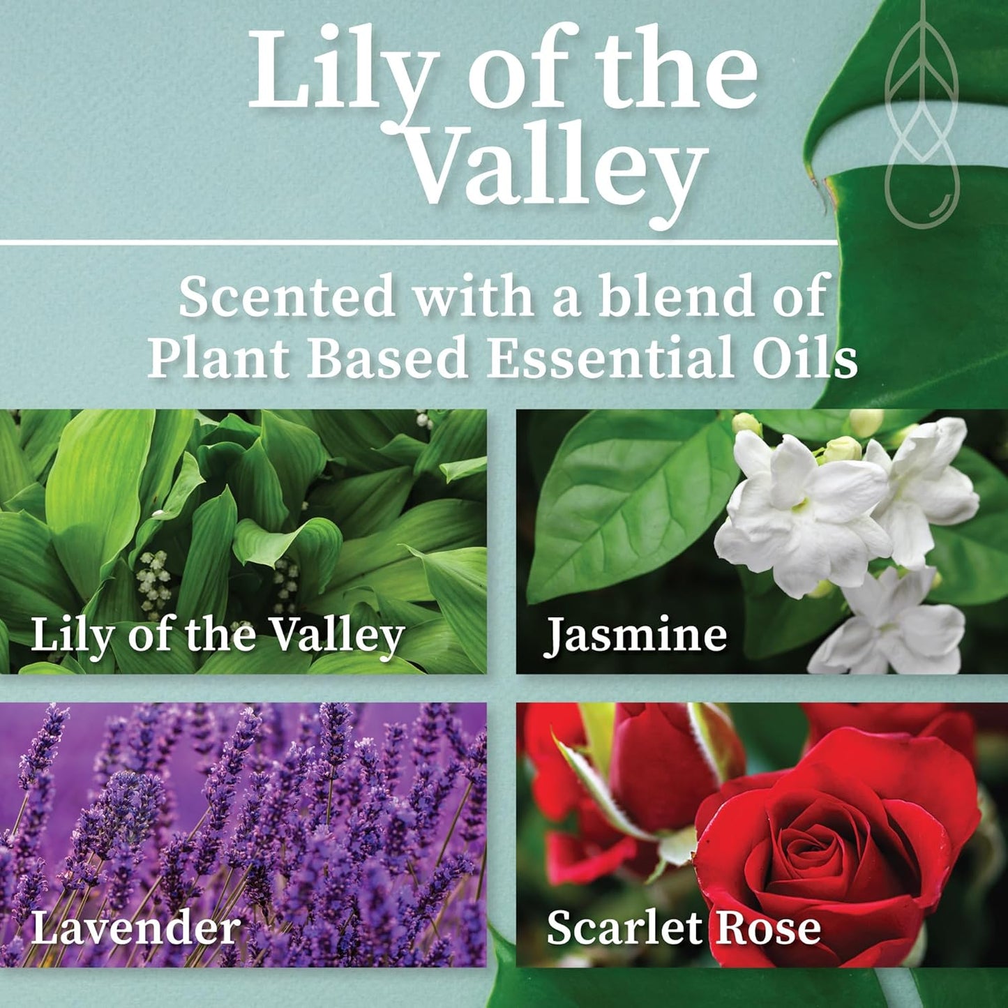 Hemlock Park Wood Wick Candle Handcrafted with Natural Coconut Wax and Essential Oils (Amber & Gold 7.2 oz, Lily of The Valley)