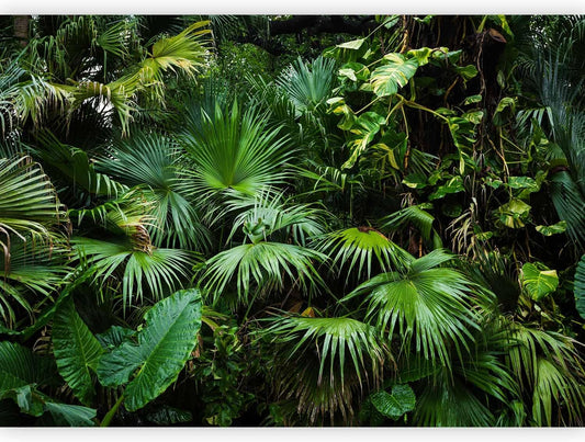 artgeist Premium Wall Mural Tropical 138x101 in - XXL Non-Woven Wallpaper Fleece Wall Decor Photo Print Picture Image Design Home b-B-0312-a-a