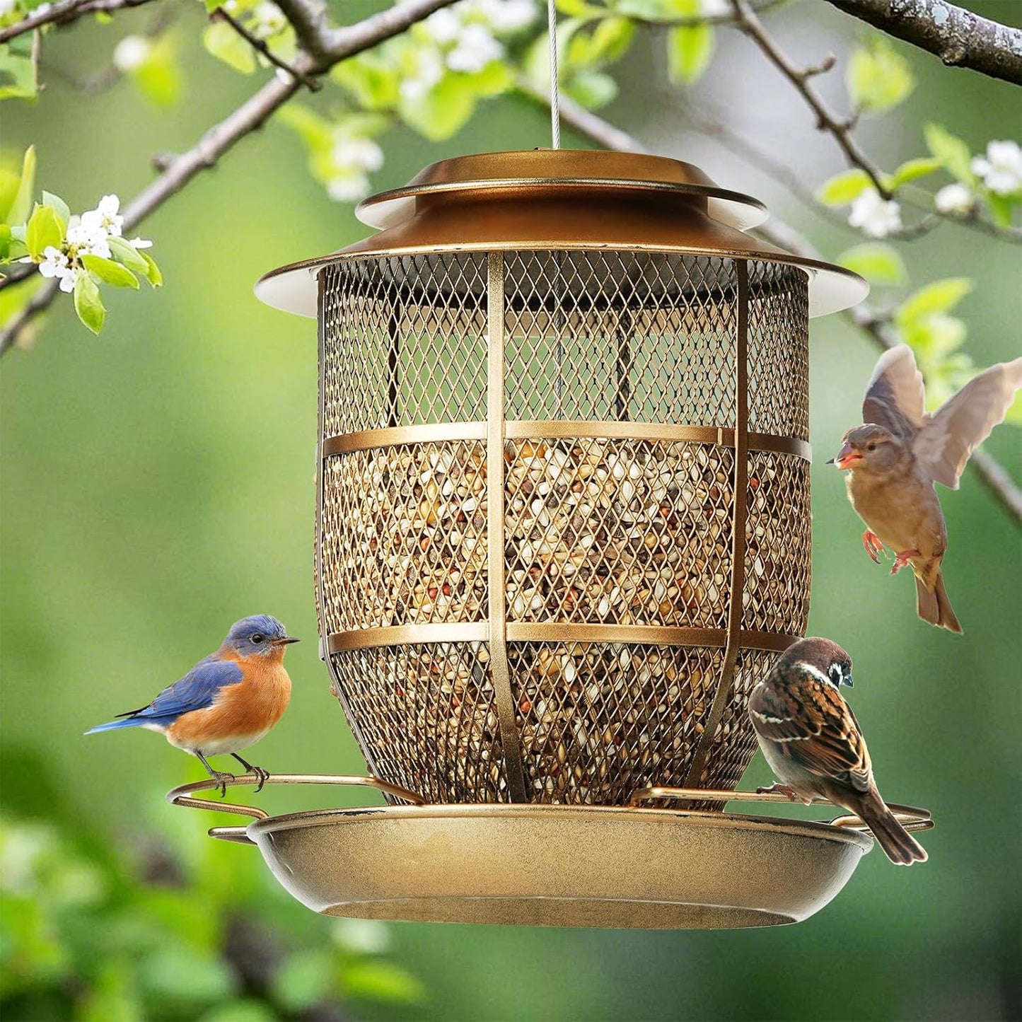 Bird Feeder for Outdoors, Funnel Style Wild Finch Feeders for Outside Hanging Courtyard Bird Watching, Metal Birdfeeder with Lid Fixing Buckle, 3Lbs Capacity